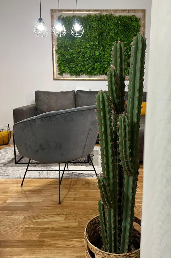Jungle Lux Apartment Čačak Eksteriør billede
